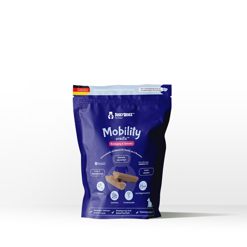 DoggyBearz Mobility orast!x 8 Kaustangen